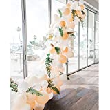 Soonlyn Blush Balloon Garland Arch Kit 125 Pcs 10 Inch Peach Balloons Party Balloons for Wedding Party Bridal Shower Baby Shower
