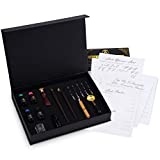 Calligraphy Set for Beginners Adults, Calligraphy Kit, Wax Seal Stamp, Calligraphy Pens, Caligraphy Kits for Beginners, Wax Seal Kit, Dip Pen, Caligraphy Pens for Writing, Calligraphy Nibs, Pen Nibs