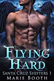 Flying Hard: Santa Cruz Shifters Book 1 - A m/m Shifter Romance