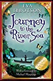 Journey to the River Sea by Eva Ibbotson (8-May-2014) Paperback