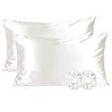 YANIBEST Satin Pillowcase for Hair and Skin Silk Pillowcase 2 Pack Cooling Satin Pillowcase with Zipper Satin Pillow Case Cover Silk Pillowcase for Hair & Skin | Queen Silk Pillowcase
