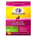 Wellness Complete Health Small Breed Dry Dog Food with Grains, Turkey & Oatmeal, 12-Pound Bag