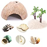 PStarDMoon Hermit Crab Shells- Natural Turbo Sea Shells Turbo Shells Hermit Crab with Coconut Hide Reptile Hideouts and Coconut Tree Ornaments for Beach Home Decor and Wedding Centerpieces (style1)