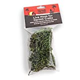 Flukers Live Moss for Hermit Crabs, 0.5-Ounce