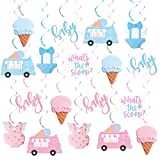 20Pcs What's The Scoop Hanging Swirls Decorations, Baby Shower Pink & Blue Foil Ceiling Swirls Photo Prop for Summer Ice Cream Theme Boy or Girl Gender Reveal Hanging Streamers Party Supplies
