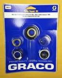 Graco 248212 Packing Pump Repair Kit