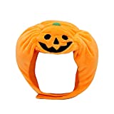 YOLSUN Holiday Pumpkin Cat Hat Cute Cosplay Costume Kitten Cat/Small Dog Head Accessory (Small, Orange)