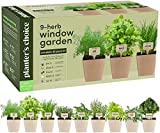 9 Herb Window Garden - Indoor Herb Starter Kit - Unique Gardening Gifts for Women & Men Cook - Kitchen Windowsill Growing Kit + Guide to Easily Grow 9 Herbs - Best Unusual Birthday Gift for Cooking