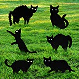 6 Packs Halloween Decorations Halloween Decor Black Cat Halloween Decor Halloween Decorations Outdoor,Scarecrow for Halloween Outdoor Patio Party Decoration