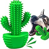 Dog Chew Toys Dog Toothbrush Stick Teeth Cleaning Brush Dental for Small Medium Dog, Puppy Memorial Birthday Gifts, Rubber Dog Squeaky Toys for Aggressive Chewers Cactus Tough Toys Interactive