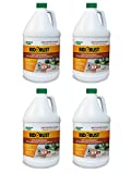 American Hydro Systems 2662 Rid O' Rust Liquid Rust Stain Remover, 1 Gallon, 4 Pack