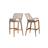 PURPLE LEAF Outdoor Bar Stool Chair Set of 2 Counter Height Modern Bar Stool Chairs Patio Metal Stools with Backrest and Arm, Cushions Included