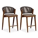 PURPLE LEAF Bar Stool Set of 2 Aluminum Counter Height Bar Chair All-Weather Rattan Stool with Backrest and Cushion for Outdoor and Indoor Barstool