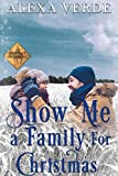 Show Me a Family for Christmas (Cowboy Crossing Romances Book 6)