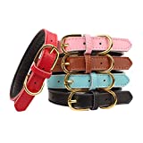 Aolove Basic Classic Padded Leather Pet Collars for Cats Puppy Small Medium Dogs (Red, Small)