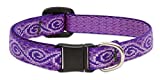 LupinePet Originals 1/2" Jelly Roll Cat Safety Collar, 8-12"