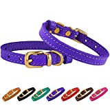 BRONZEDOG Leather Cat Collar with Buckle Adjustable Small Pet Collars for Kitten Black Brown Pink Purple Red Turquoise (Neck Size 7" - 9", Purple)
