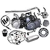 WPHMOTO Complete set of Lifan 125cc Engine Semi-Auto 4 Stroke Motor with Wiring Harness Carburetor Chain Sprocket Exhaust Muffler Pipe Kit for Trail Bike CT70 90 110 125 Dirt Bike Trike