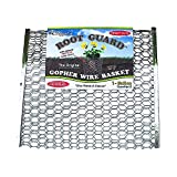 Diggers 1-Gallon Heavy-Duty Wire Basket - Gopher Wire Basket for Perennials & Vegetables (12 Baskets)