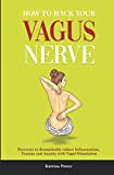 How to hack your Vagus Nerve: Exercises to dramatically reduce inflammation, trauma and anxiety with vagal stimulation