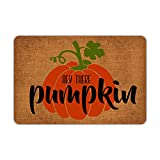 Ytanie Indoor Doormat Front Door Mat Hey There Pumpkin Non-Slip Durable Rubber Absorbent Funny Door Mats Low Profile Machine Washable Door Rug for Entry, Patio,Lawn, 23.6" x 15.7"