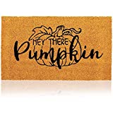 Natural Coir Welcome Door Mat, Hey There Pumpkin Fall Decor(30 x 17 in)