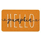 Mloabuc Hello Pumpkin Door Mat Funny Text Indoor mat, Thanksgiving Holiday Creative Decorative Seasonal Burlap Welcome Floor Orange Mat Switch Mat for Outdoor 17 x 30 in