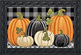 Checkered Pumpkins Autumn Doormat Primitive Indoor / Outdoor 18" x 30"