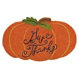 DII Natural Coir Outdoor Doormat, Fall & Thanksgiving Seasonal Mat, 17x29, Give Thanks Pumpkin