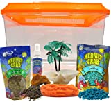 Ultimate All in One Hermit Crab Cage Starter Pack, Beginner Habitat Supplies Kit for Terrariums, Includes 2 Gallon Cage, Food, Pool, Feeder, and More, Colors May Vary, 7 Pieces