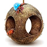 SunGrow Hermit Crab Hut Cozy Crabitat Coconut Shell with Hanging Loop and Climbing Accessory