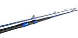 Okuma Fishing Tackle CSX-S-1002MH Cedros Surf CSX Graphite Saltwater Spinning Rods