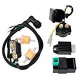 HIAORS Ignition Coil 5 Pin CDI Regulator Rectifier Relay Fuel Filter For Kazuma Meerkat 50cc Falcon 90cc 110cc Taotao Roketa Coolster 110CC ATV 3050B X15 X18 R Nitro X19 SSR 110cc Pocket Bike