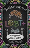The Gay BCs of LGBT+: An Accompaniment to the ABCs of LGBT+