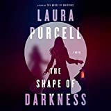 The Shape of Darkness: A Novel