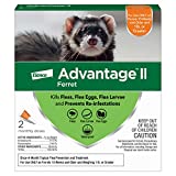 Advantage II Ferret Vet-Recommended Flea Treatment & Prevention | Ferret 1+ lbs. | 2-Month Supply