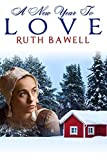 A New Year to Love: Amish Romance (Amish Winter)