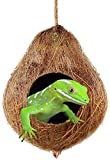 SunGrow Crested Gecko, Snake & Ball Python Coco Hut, Treat & Food Dispenser, Climbing Porch, Hiding, Ideal for Reptiles, Amphibians