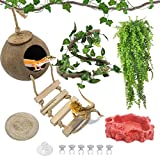 Hamiledyi Crested Gecko Coco Hut Natural Reptile Coconut Hideouts Lizard Water Food Bowls Climbing Porch Hiding Sleeping Breeding Pad Jungle Vine Flexible Reptile Leaves for Bearded Dragon 6PCS