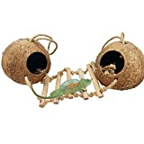 Gecko Coconut Shell Hut,Reptile Hideout Home Nesting House Natural Habitat Decor with Hanging Wooden Ladder for Lizard Gecko Hermit Crab