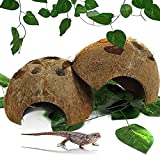 Hamiledyi Reptile Hideouts Natural Coconut Shells Hut Small Animal Hide Cave Hermit Crab Climbing Toys Lizard Habitat Decor Plant Leaves Decoration for Gecko Spider Snake Chameleon (4Pcs)