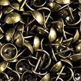 decotacks 500 PCS Heavy Duty Antique Brass Finish Upholstery Tacks, Furniture Nails, French Natural Thumb Tack Push Pin, 7/16" Head Dia [Antique Brass, French Natural] DX0511AB500