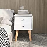 TaoHFE Nightstand Bedroom White Beside Table Made of MDF, Night Stand with 2 Drawers end Table for Bedroom/Living Room/Salon/Office