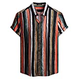 MCEDAR Mens Casual Button Down Shirts Short Sleeve Striped Summer Vintage Beach Vacation Shirt 21028-M