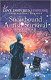 Snowbound Amish Survival