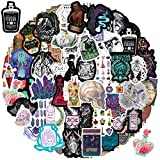 100pcs Apothecary Stickers for Water Bottles,Vinyl Waterproof Pharmacist Stickers Decals for Teens,Cool Teens Stickers for Laptop Scrapbook Skateboard