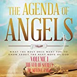 The Agenda of Angels, Vol. 1: The Veil of Secrecy