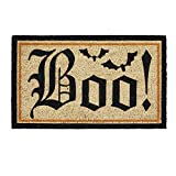 DII Natural Coir Fiber Outdoor Doormat, Decorative Halloween, Pet Friendly Mat, 17x29, Boo