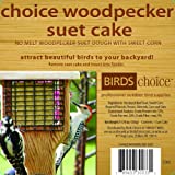 Birds Choice Woodpecker Cake 11.75 OZ.