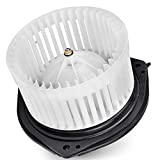 FAERSI HVAC Plastic Heater Blower Motor with Fan Cage Replacement for 2002-2005 Buick Lesabre Cadillac DeVille Pontiac Bonneville, 2002-2004 Cadillac Seville, 2002-2003 Olds Aurora